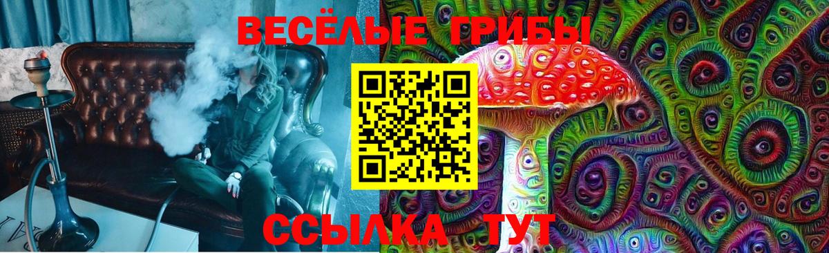 Галлюциногенные грибы ЛСД Изобильный